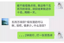 河口区为什么选择专业追讨公司来处理您的债务纠纷？