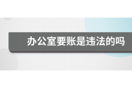 河口区专业讨债公司有哪些核心服务？